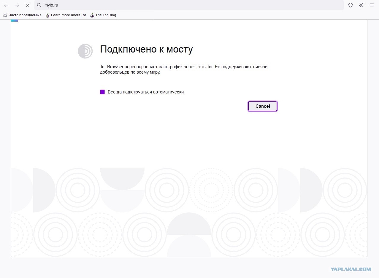 Kraken купить клад