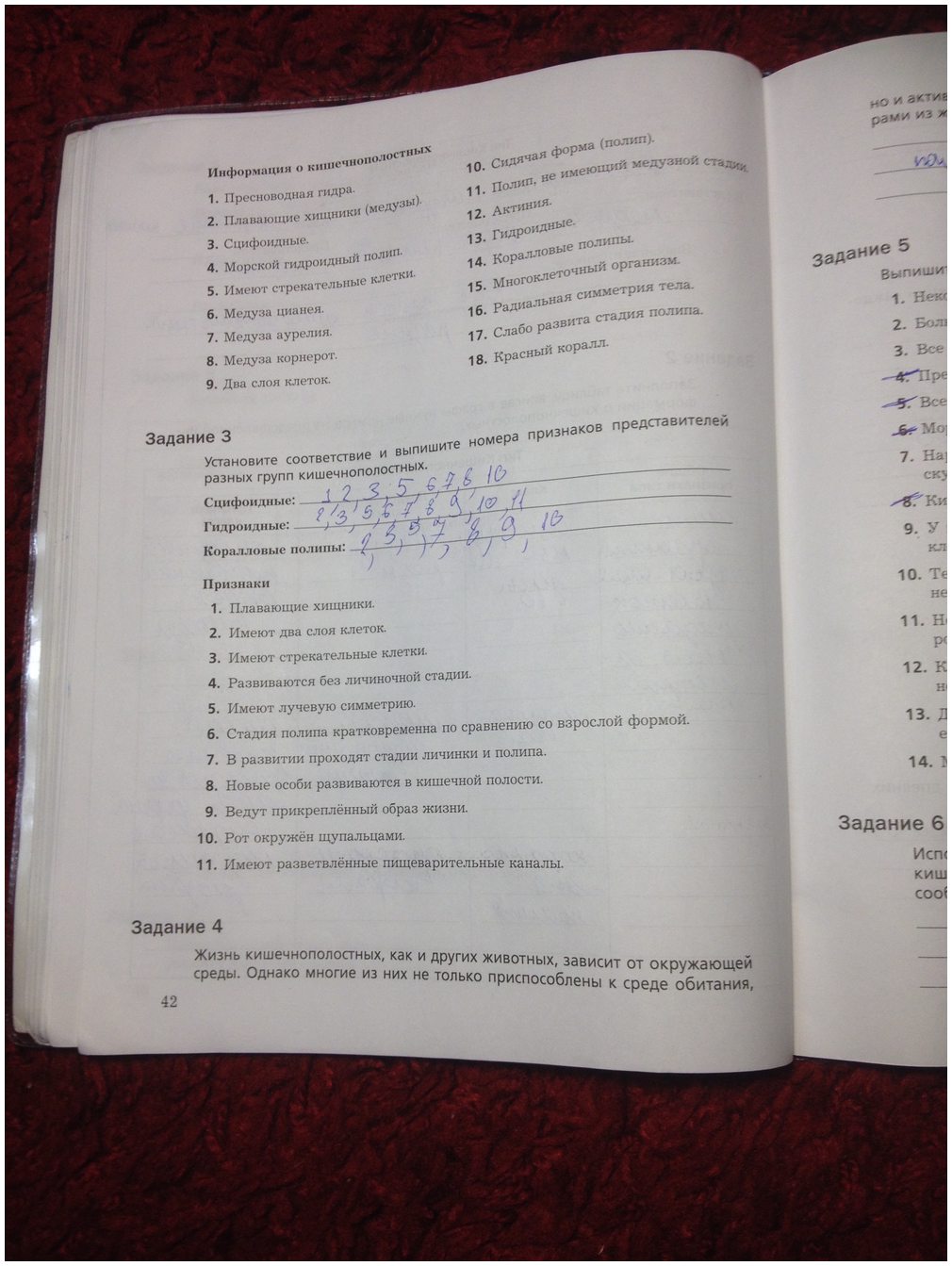 Кракен сайт даркнет