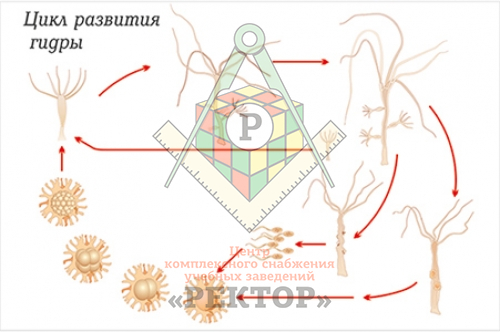 Ссылки на кракен маркетплейс